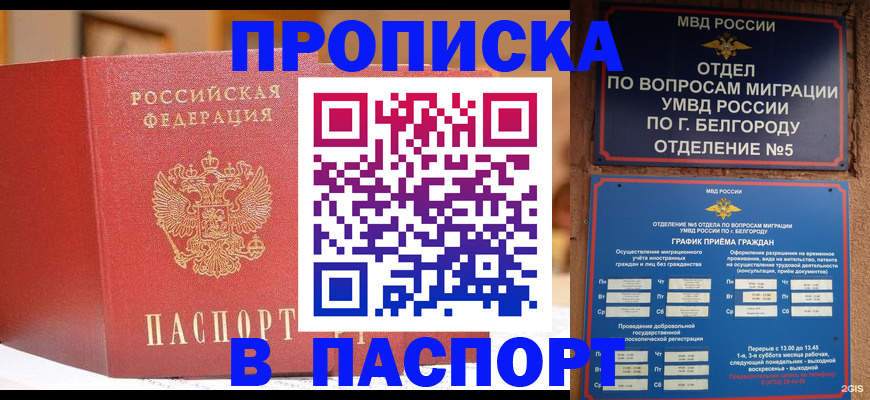 временная регистрация в квартире в Лосино-Петровском